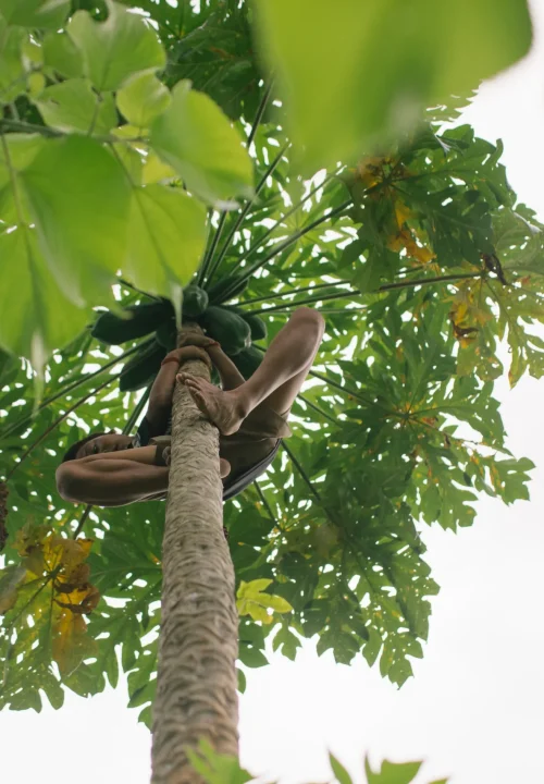 stenden-university-at-bangkama-10